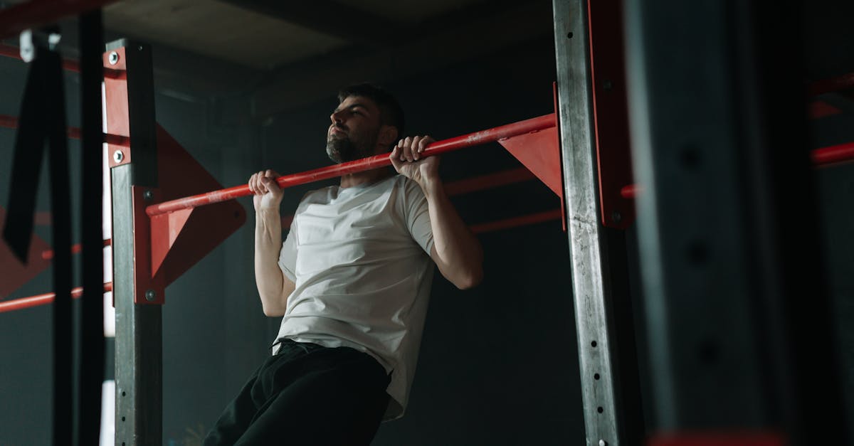 Owlstrength Fitness Club collection